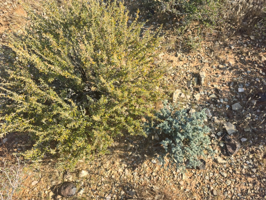Commercial Property for Sale in Carnarvon Rural Northern Cape